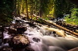 How Environmental Wellbeing Connects Nature, Wellness And Technology