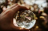 A glass ball reflecting a flower tree, Photo by Hannah Murrell on Unsplash