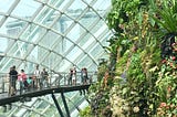 How Green Technologies Of The Future Are Being Built In Singapore