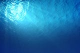 Swim Towards the Light