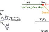 Derin Öğrenmede Yapay Sinir Ağları Nasıl Öğrenir?