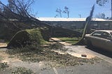 Darkness Receding. Hurricane Michael After Three Months