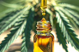 CBD Oil 101: What Is It and How To Use It