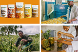 ReelFruit Raises $3 Million Series A Funding to Expand Production with New Factory