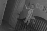 My Son’s Babycam Alerted me at 3am, What I Saw Flipped My Stomach