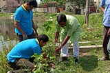 Go Green Project By Linings Foundation Trust