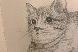 Rest Easy Little Soul; A Memoir to My Po