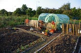 My Allotment #2: What I’ve learnt so far… LAYOUT