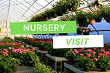 Best Nursery in Affordable Price Pots, Plants for Outdoor-Indoor
