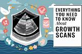 Everything You Need to Know About Growth Scans