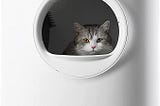 Picture showing grumpy cat looking out the window of what appears to be a washing machine for cats but is in fact an elaborate cat toilet.
