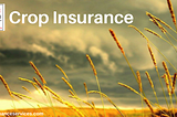 Crop insurance