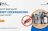 Cockroach control treatment in Hyderabad by AJL Pest Control Services