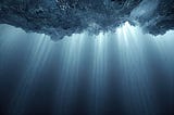 AI-Native Ecosystem: The Infrastructure the Non-Technical Founder Has Been Waiting For