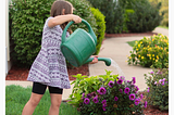 Make your yards enjoyable and beautiful with Love Irrigation