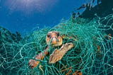 Plastic Pollution is Not the Ultimate Ocean Solution