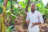 ✍️ BANANA PLANTATION SET-UP SERVICES 
Get your banana garden set up and planted by professionals!