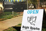 Lessons from Bright Sparks
