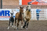 Three horses.