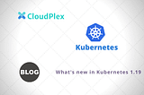 What’s new in Kubernetes 1.19