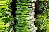 A typical display of about 20 green onion bunches on display at a typical Canadian grocery store, flanked by celery on the left, and bunches of spinach on the right.