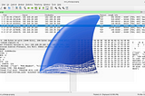 🦈Wireshark 101: Finding Passwords & Credentials in Plain Text Traffic