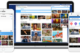 Non-Fungible Fungi becomes first NFT project to partner with Tenor by Google as official GIF…