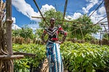 Supporting women to transform food systems and deliver the SDGs