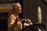 Full color candid photo of Jane Goodall speaking at a podium and facing to the right. On the podium sit two stuffed animals.