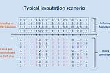 A Simple Python Wrapper for IMPUTE2 [Bioinformatics — Eps.5]