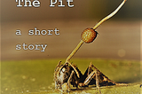 The Pit (a short story)