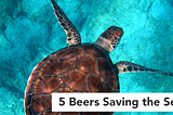 5 Beers Saving the Seas