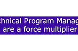 What is the role of a Technical Program Manager(TPM)?