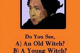 Halloween illusion with Hillary Clinton