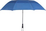 The Blue Umbrella