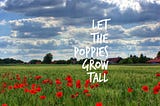 Let the Poppies Grow Tall…