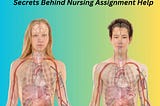 Nursing Assignment Help