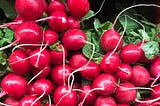 Red Radish