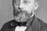Rudolph Virchow on Health