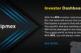 #RPX Ripmex Investor Dashboard