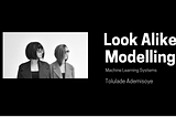 Introduction to Look-alike-Machine Learning Modelling