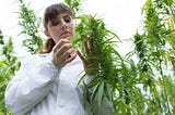 Cannabis Digital Marketing — Should You Even Try?