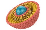 Liposomal Vitamin C: Better way to deliver