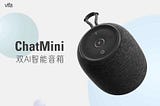 Meet ChatMini: Your New AI Companion Speaker — News, Games, Advice & More!