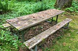 picnic table covered in debris with lush plants and moss growing all around it