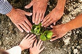 Hands of different sizes and skin tones are laid on the ground around a seedling.