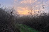 Sunrise over a country park.