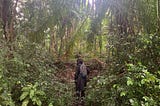 What is our relationship with nature (Part II)