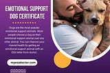Emotional Support Dog Certification