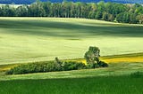 Solar Energy Saves Environment